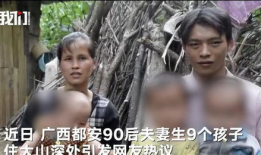 借种视频,科技助力农业创新之路